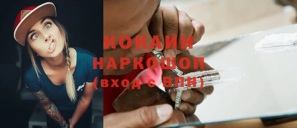 mdpv Каменногорск