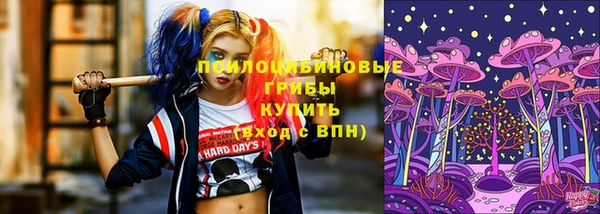 гидропоника Инта