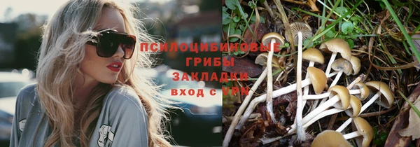 гашиш Каменка