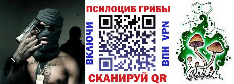 блэк спрут ссылки закладки Кедровый Галлюциногенные грибы ЛСД